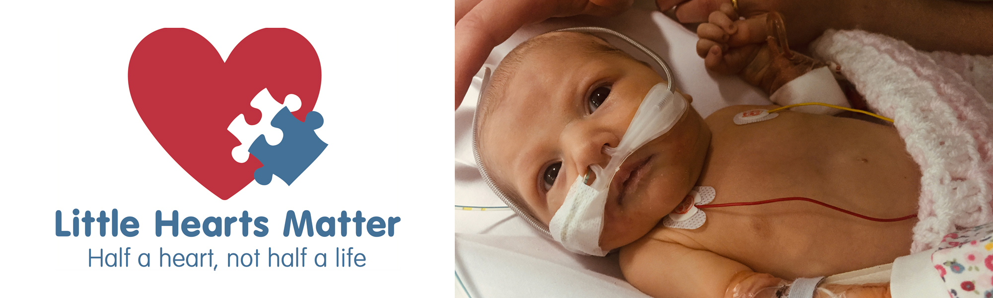 Donate now to help us smash the £60,000 target!